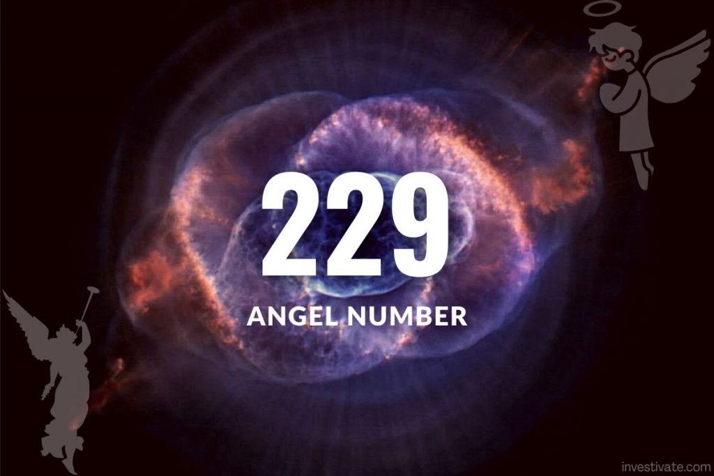 229 angel number