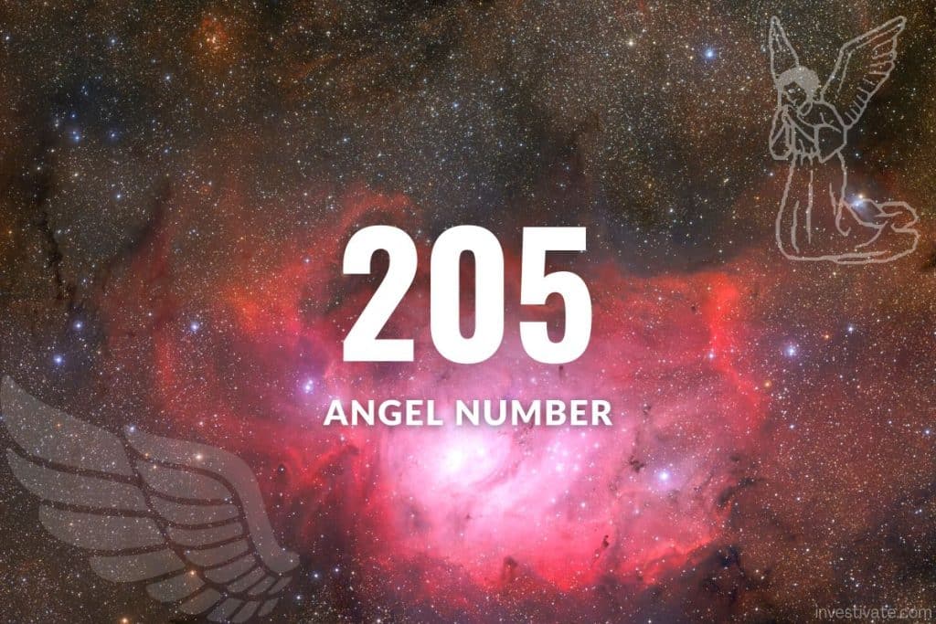 angel number 205
