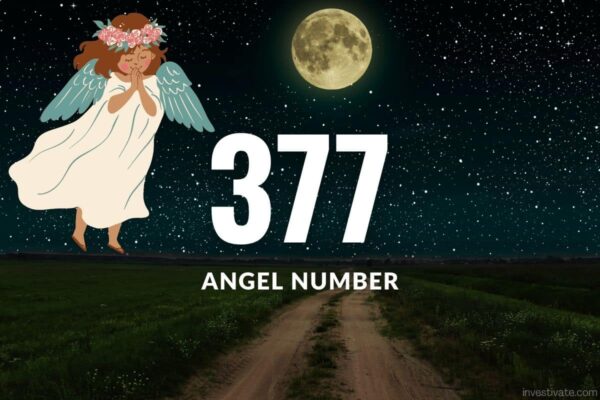 377 Angel Number Meaning: Your Path to Spiritual Awakening | Investivate