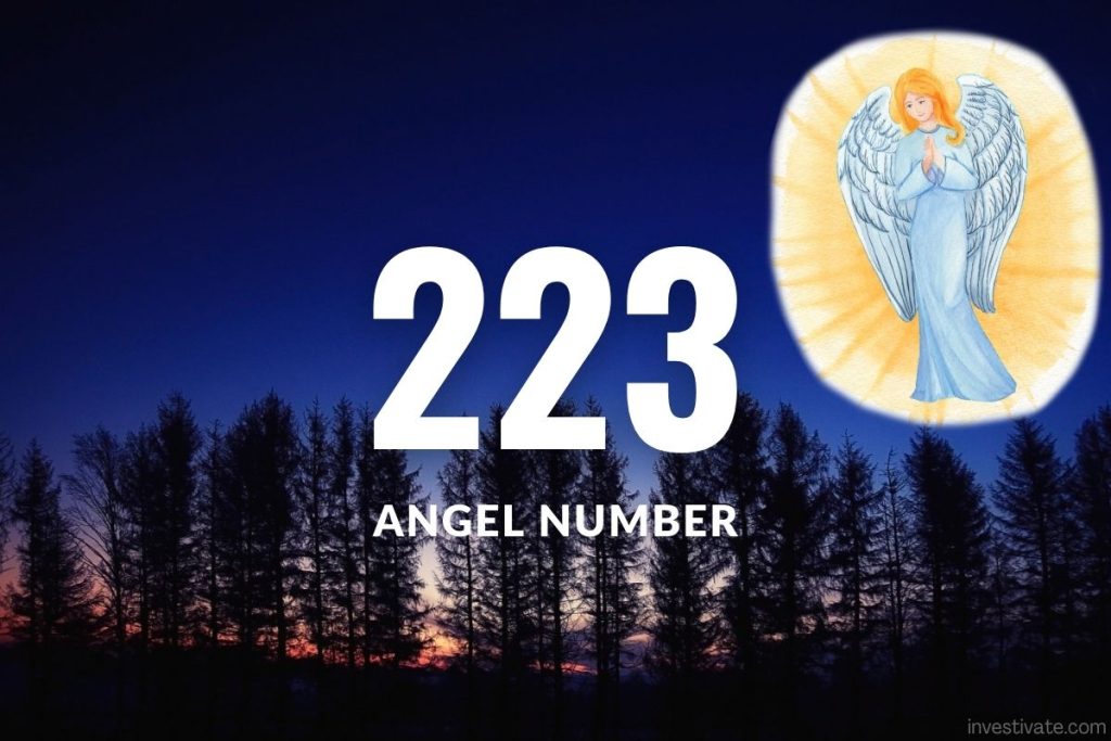 angel number 223
