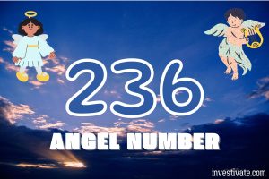 236 Angel Number Meaning: Your Path to Enlightenment | Investivate