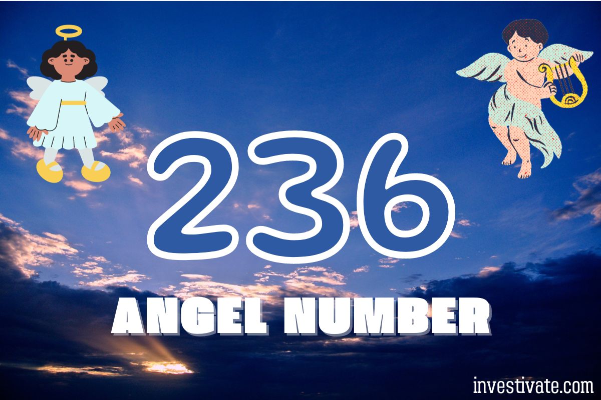 236 Angel Number Meaning: Your Path to Enlightenment | Investivate