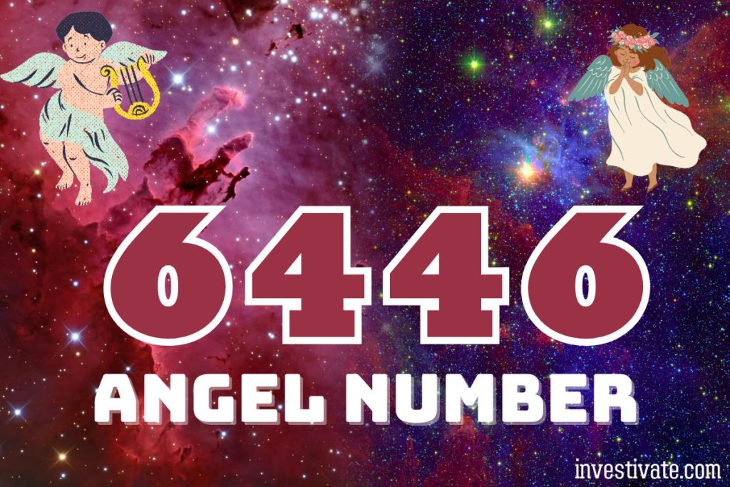 angel number 6446