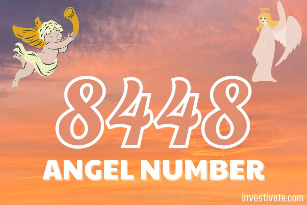 angel number 8448