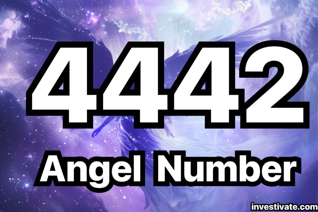 4442 angel number