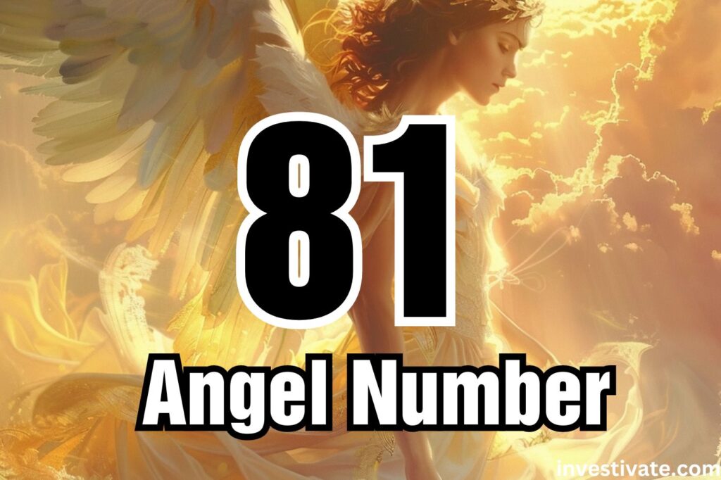 81 angel number