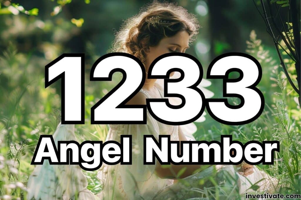 1233 angel number
